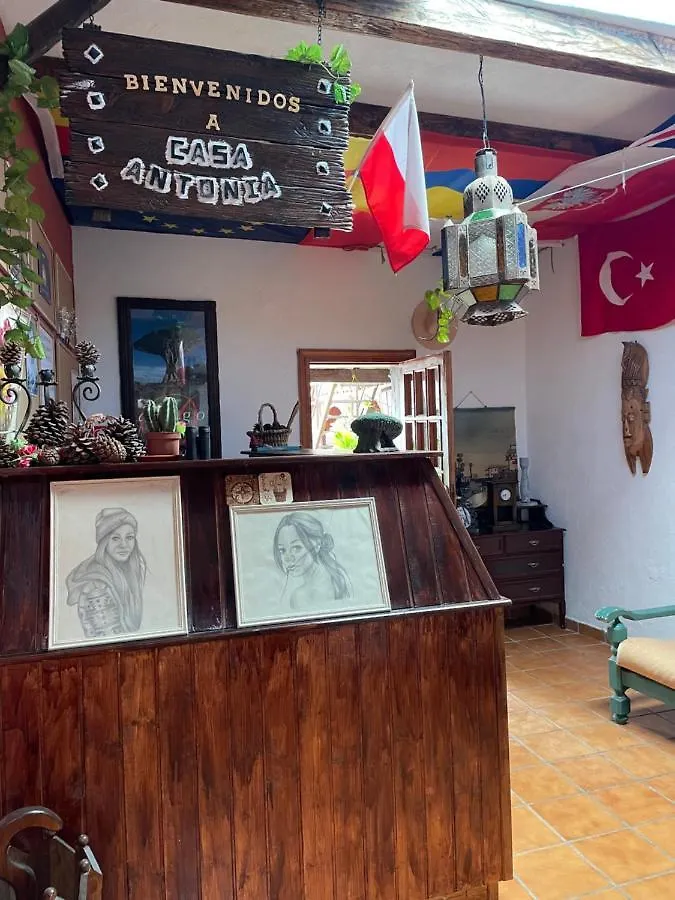 Casa Antonia Guest House Icod De Los Vinos