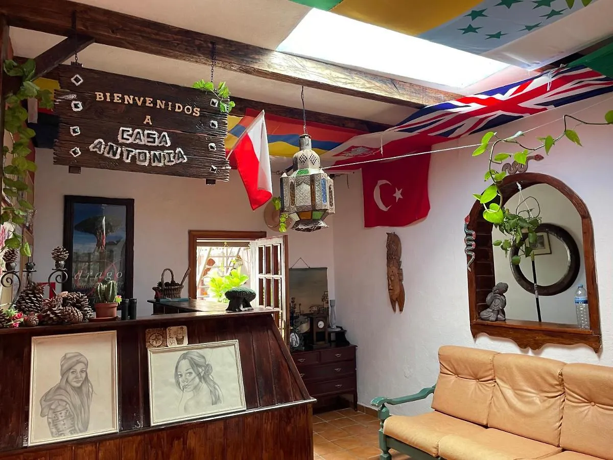 Casa Antonia Guest House Icod De Los Vinos Spagna